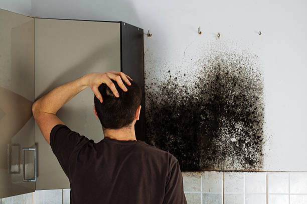 Mold Removal and Inspection in Valley Falls, SC